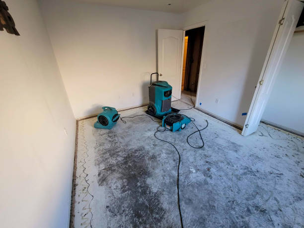 Best Emergency water damage restoration  in Dover Base Housing, DE