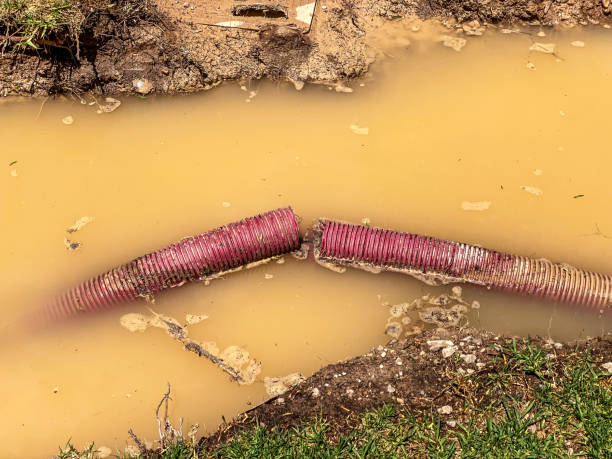 Best Basement water damage restoration  in Dover Base Housing, DE