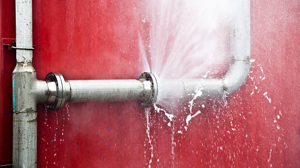 Best Carpet water damage restoration  in Dover Base Housing, DE